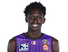 凯恩斯太攀蛇