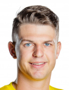 施韦因富特